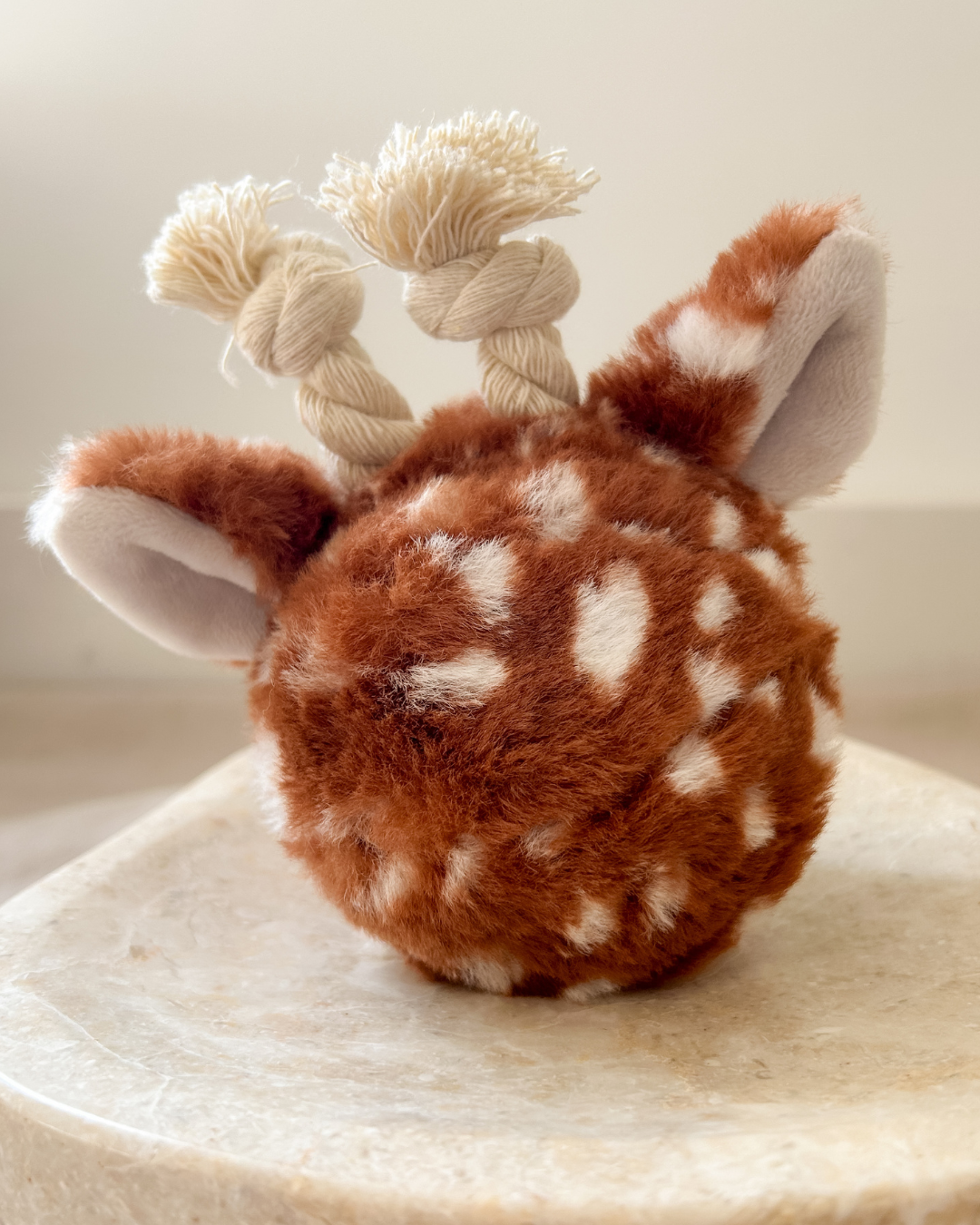 The Calm & Curious Duo