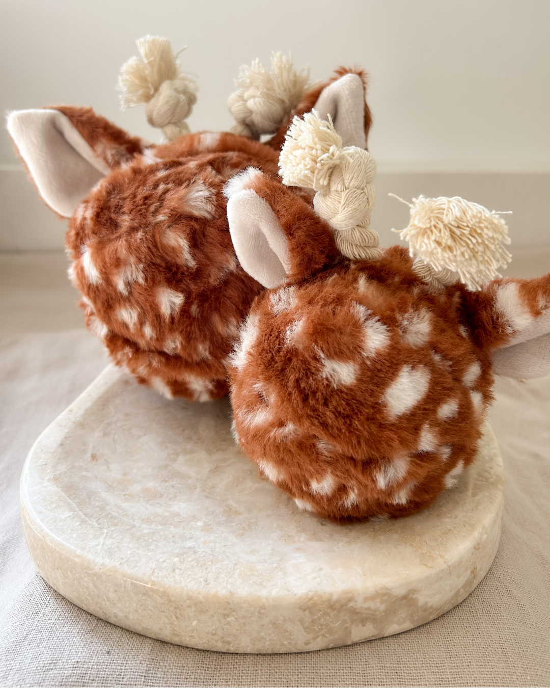 Fawn