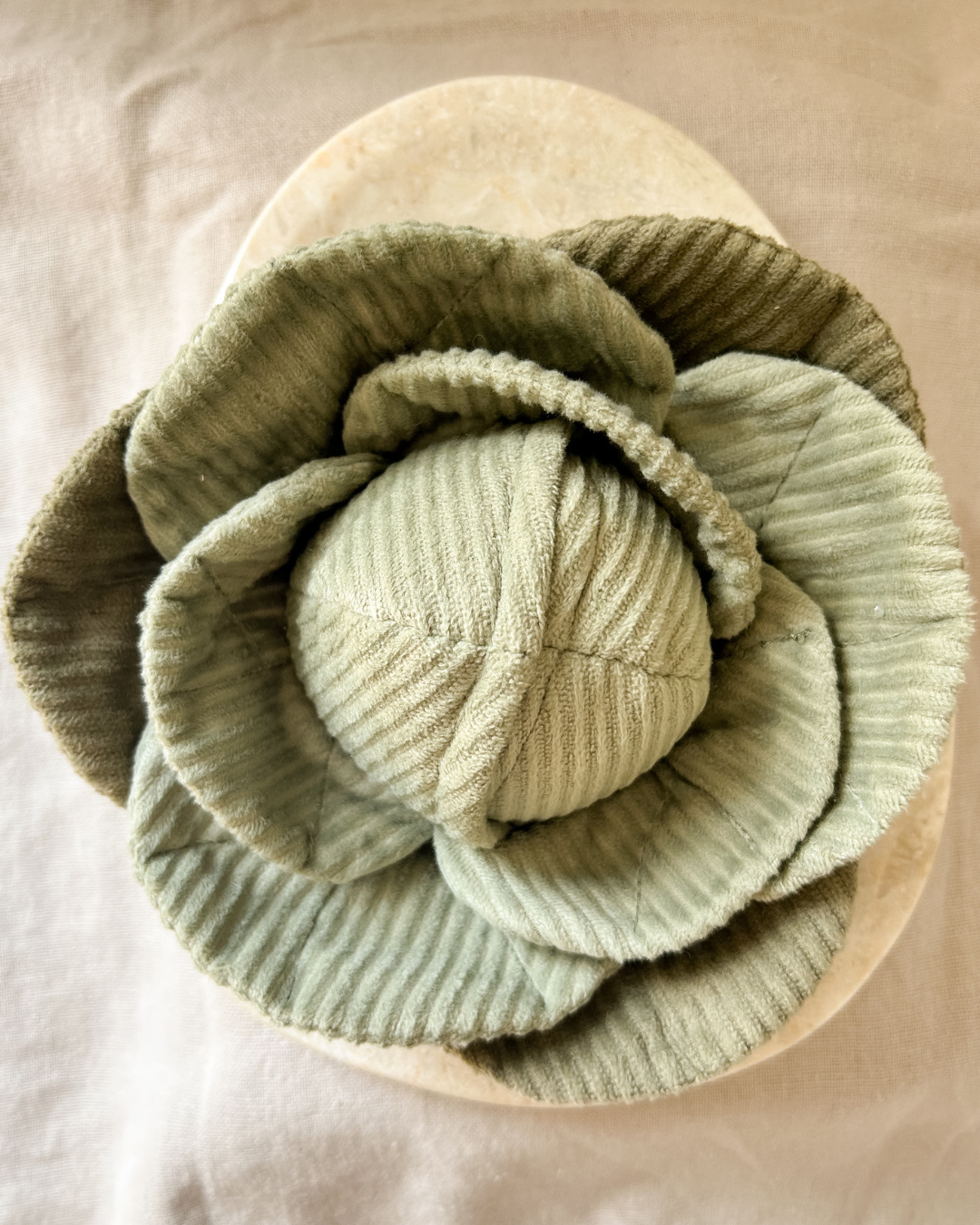 Cabbage
