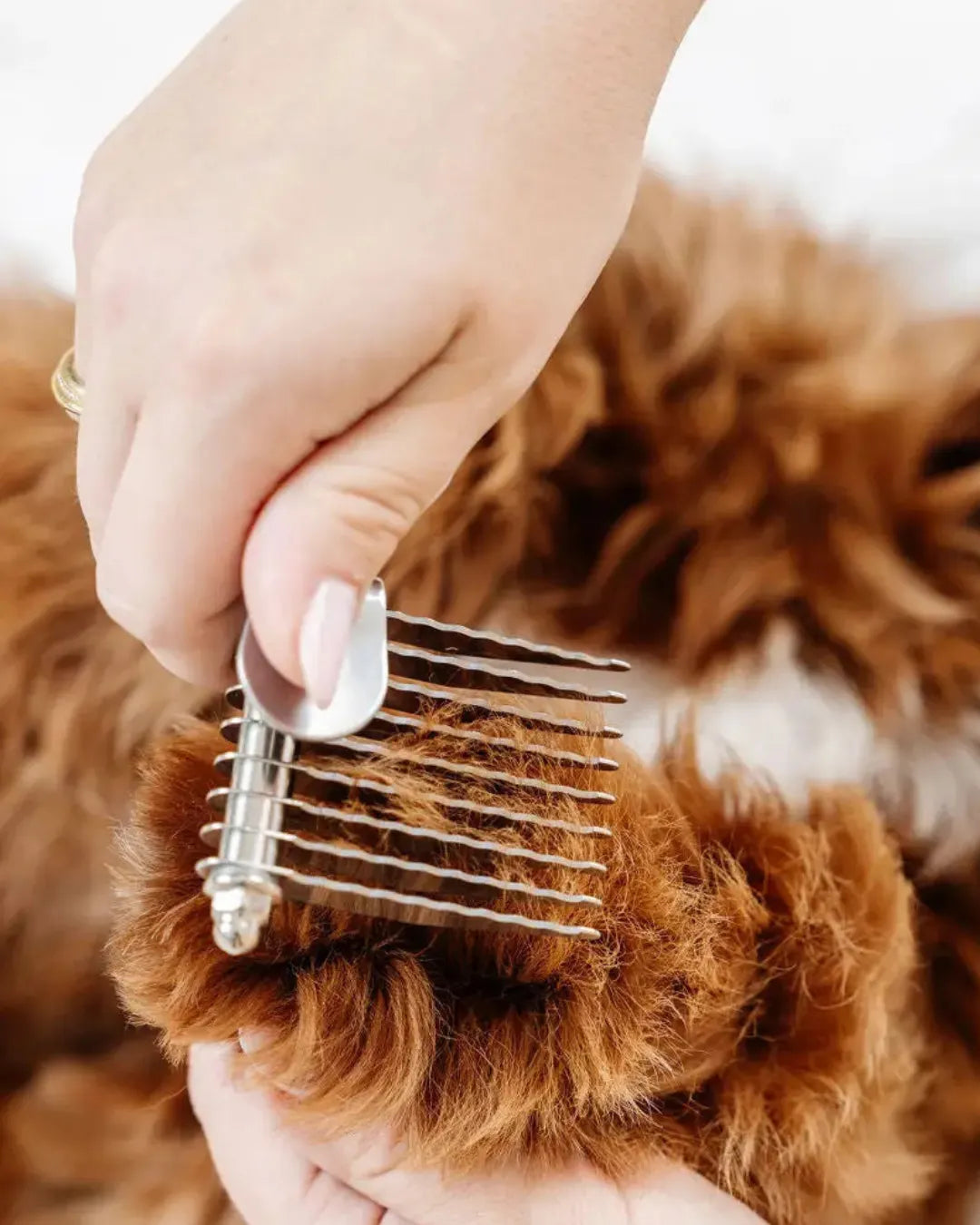 Person using a metal comb on a dog's fur