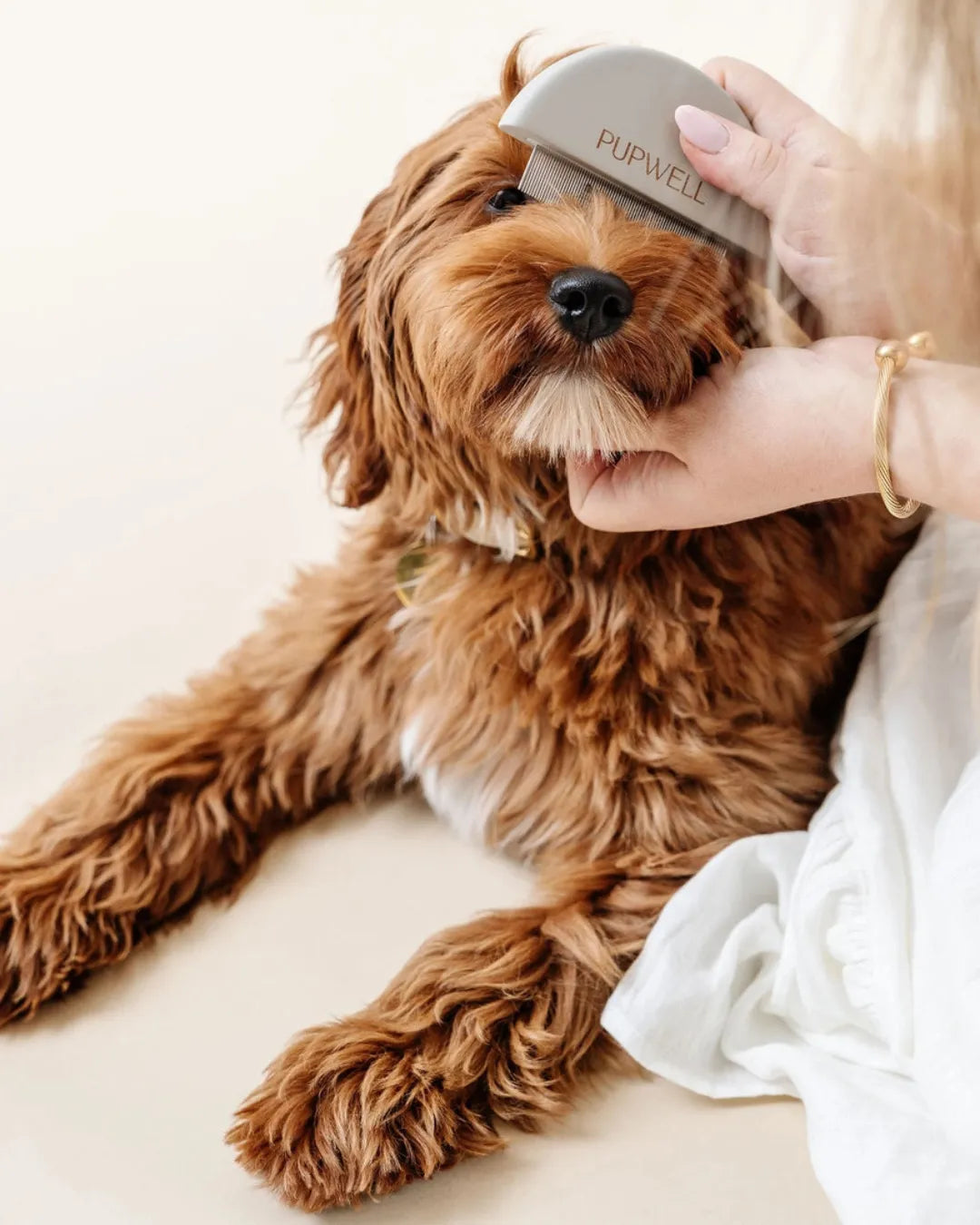 Dog being groomed with a PUP WELL brush on a light background