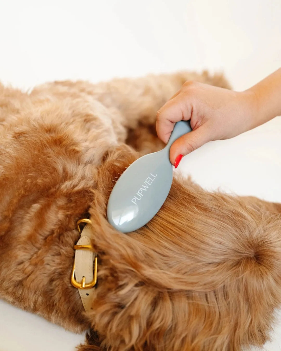 Person grooming a dog with a brush labeled 'PUPWELL' on a white background