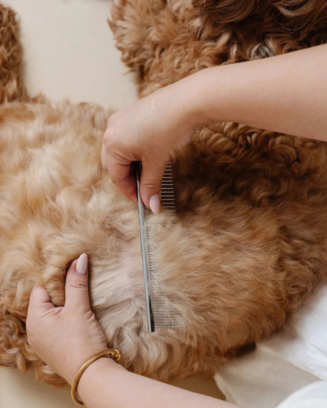 Person grooming a fluffy brown dog with a comb