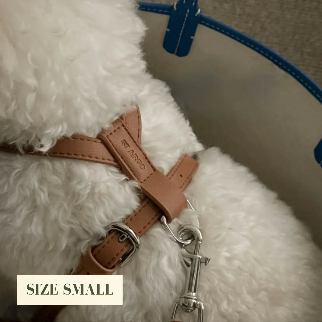 Brown vegan leather dog harness on a white fluffy dog with 'SIZE SMALL' label.