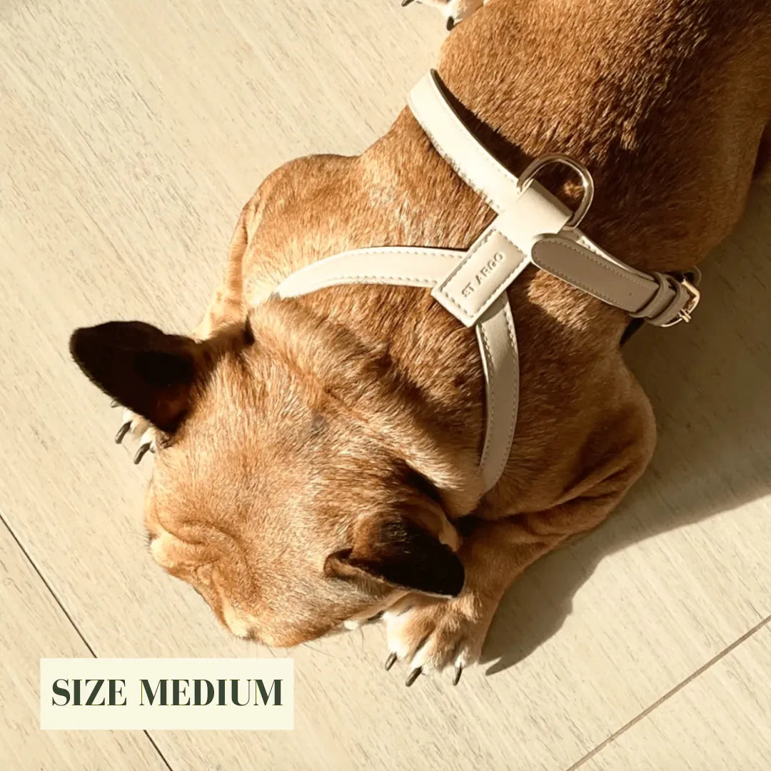 Dog wearing a beige harness on a light wooden floor with 'SIZE MEDIUM' text overlay.