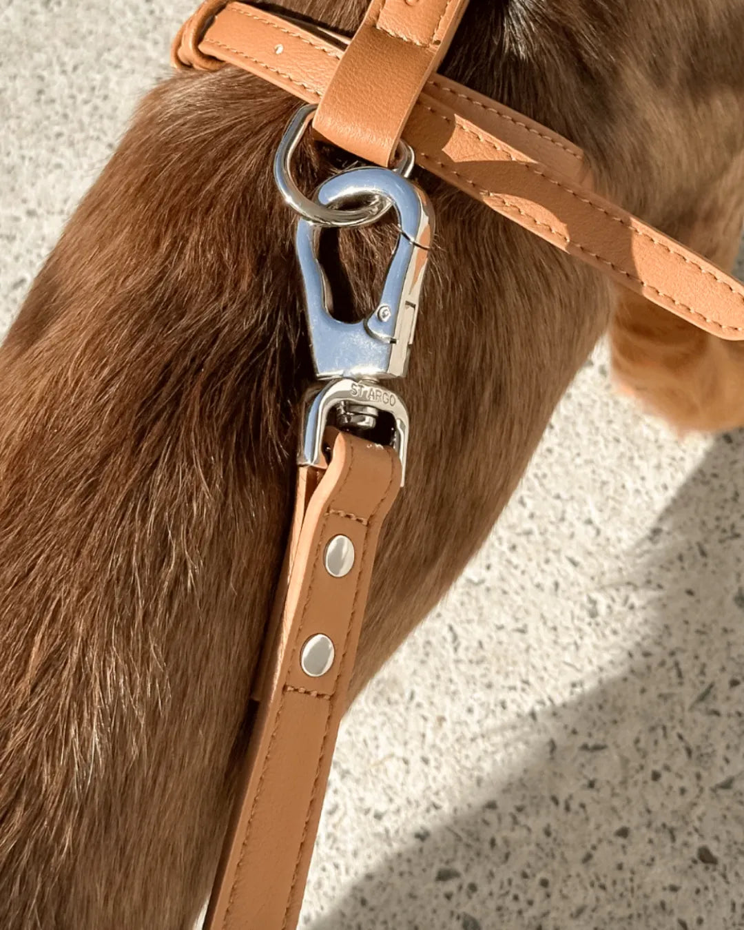 Close-up of a brown luxury vegan leather harness on a brown dog, with a metal clasp.