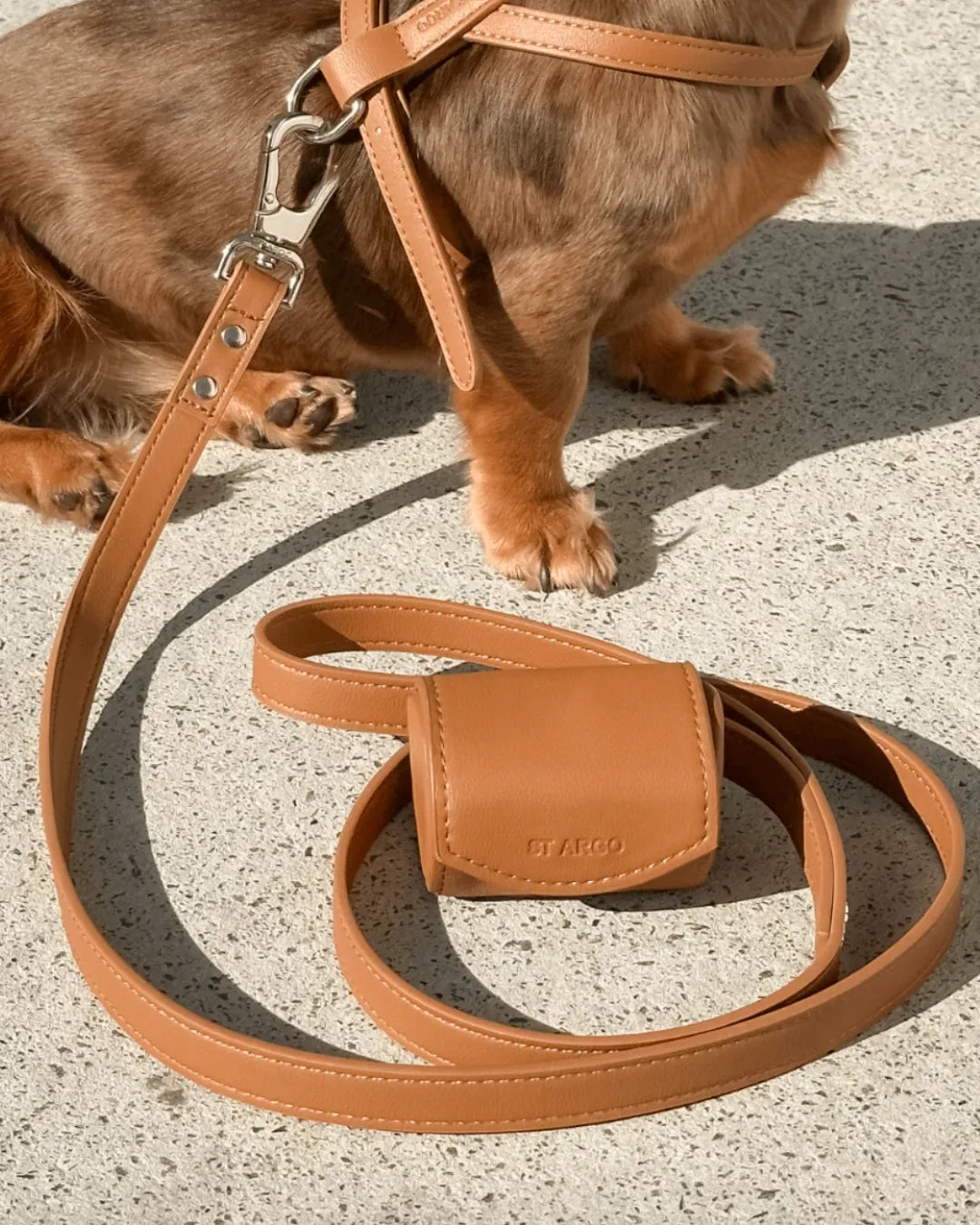Brown luxury vegan leather dog lead and poo bag holder on a concrete surface with a small dog in the background