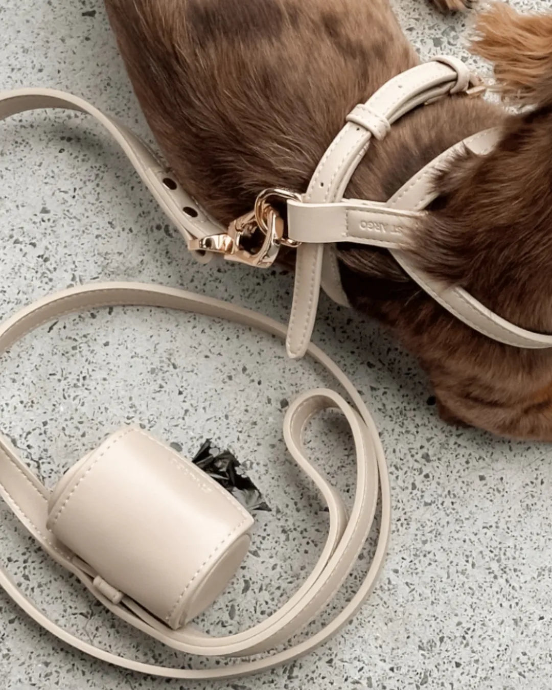 Beige vegan leather dog harness, poo bag holder and leash on a speckled surface with a brown dog wearing it all.
