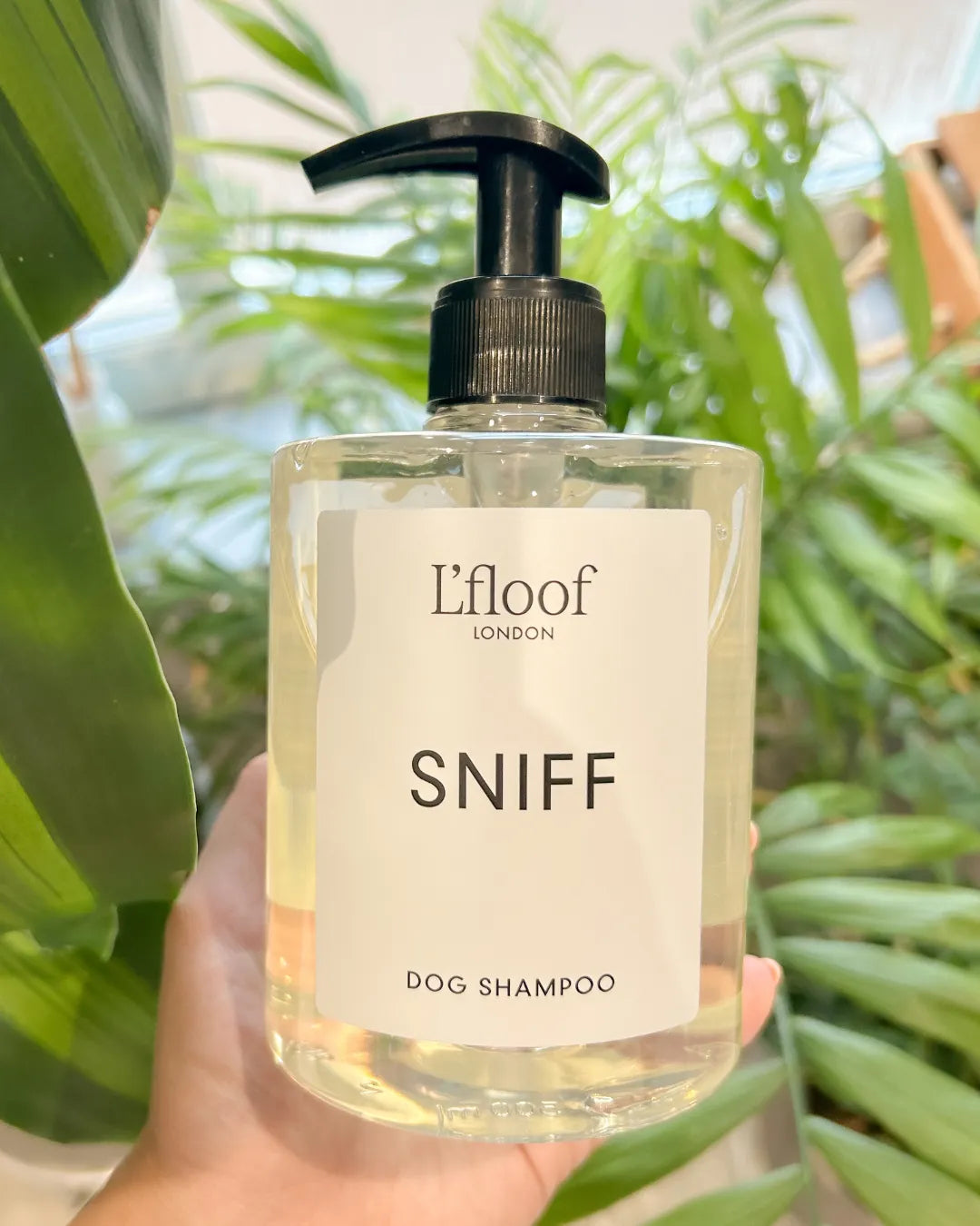 Bottle of Lfloof London 'Sniff' dog shampoo held in front of green foliage
