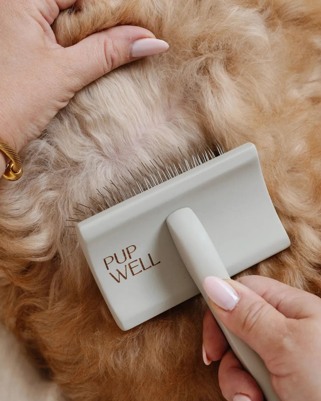 Person grooming a dog with a 'PUPWELL' brush.