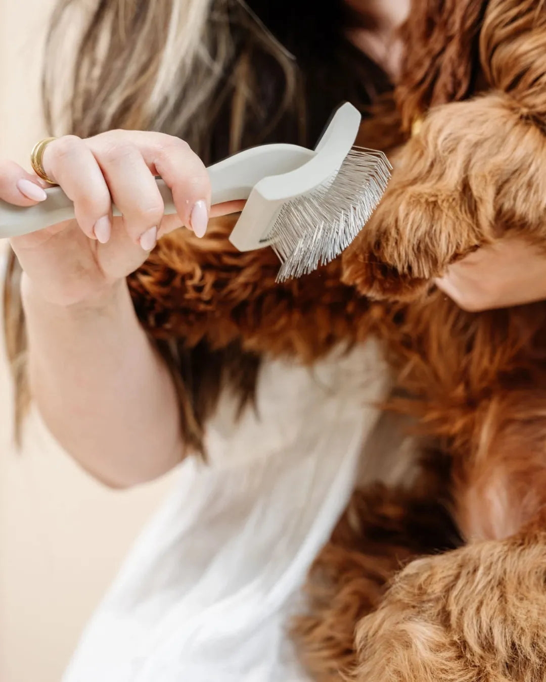 Person grooming a dog with a brush