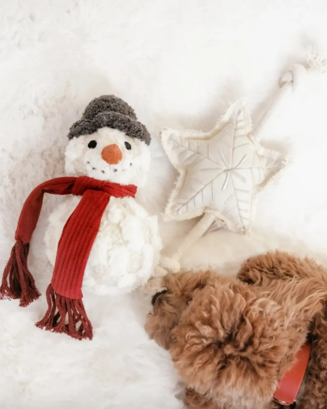 Toy poodle next to a plush snowman dog toy and decorative star on a white background