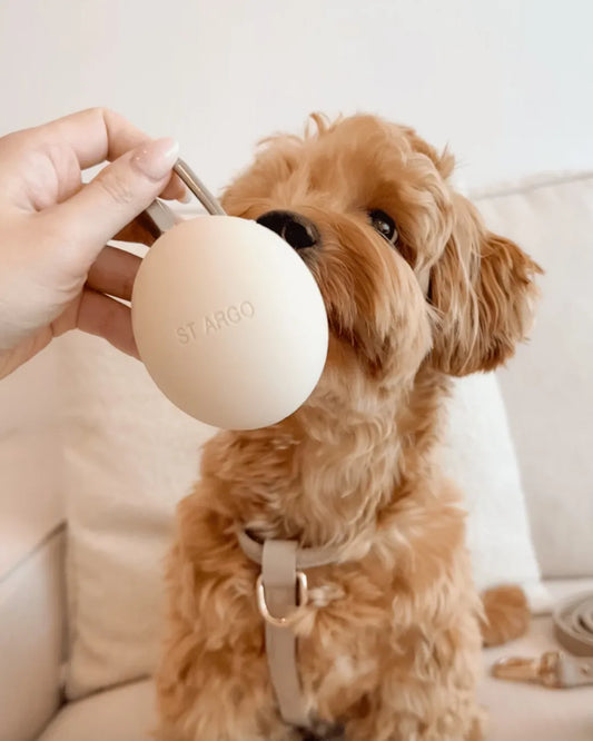 Dog sniffing a beige dog treat pouch with 'ST ARGO' branding in a casual setting.