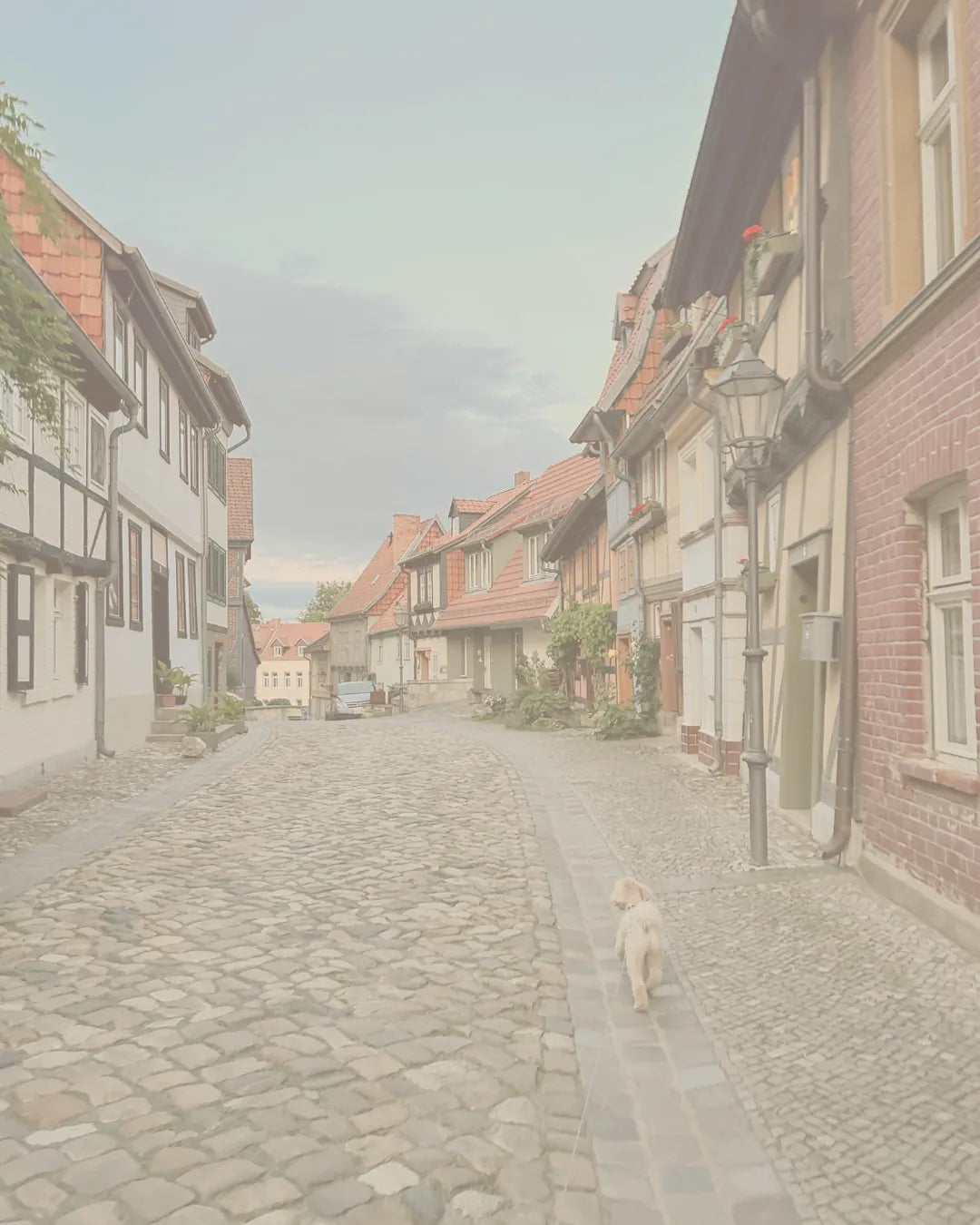 Cobbled street in a quaint European town with traditional architecture