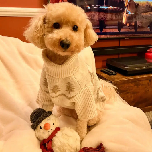 The Maison Caniche Christmas Gift Guide