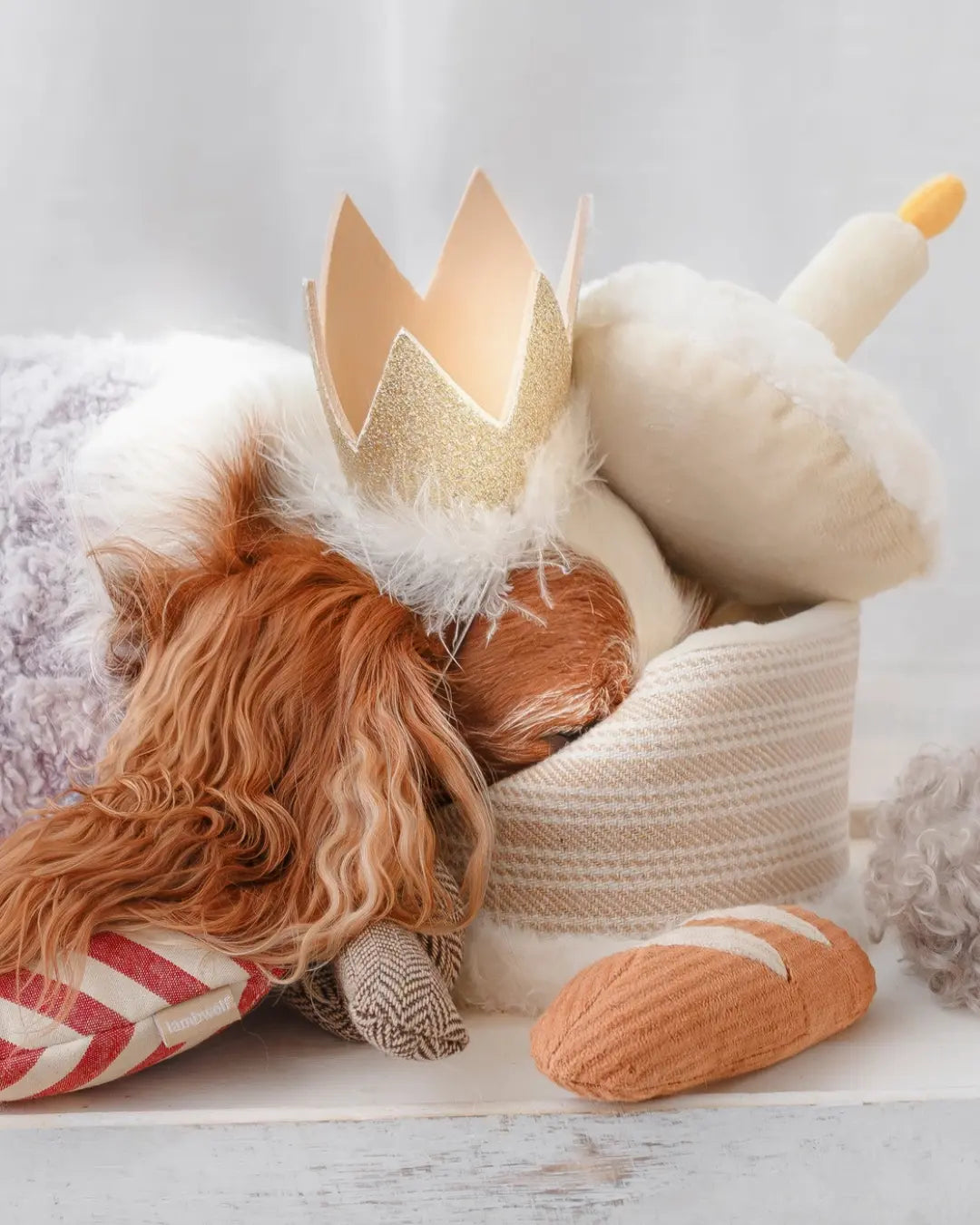 Cavalier king Charles spaniel dog with a crown and plush birthday cake toys on a light surface
