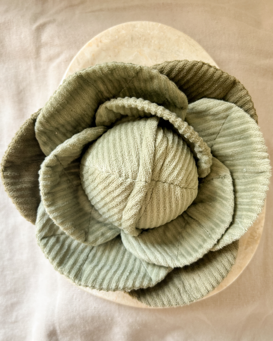 Cabbage