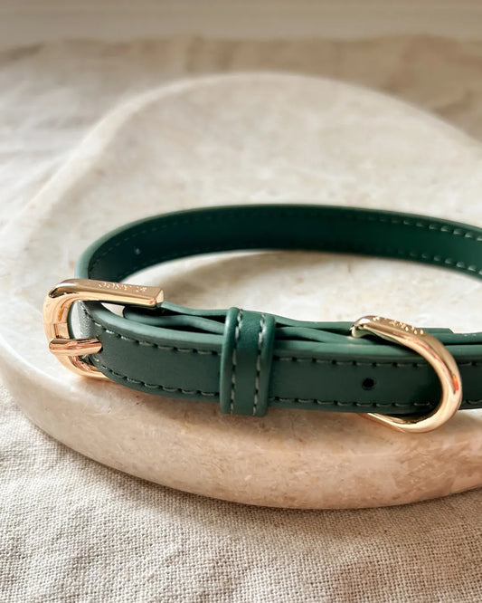 Green luxury vegan leather dog collar with gold buckle on a beige surface