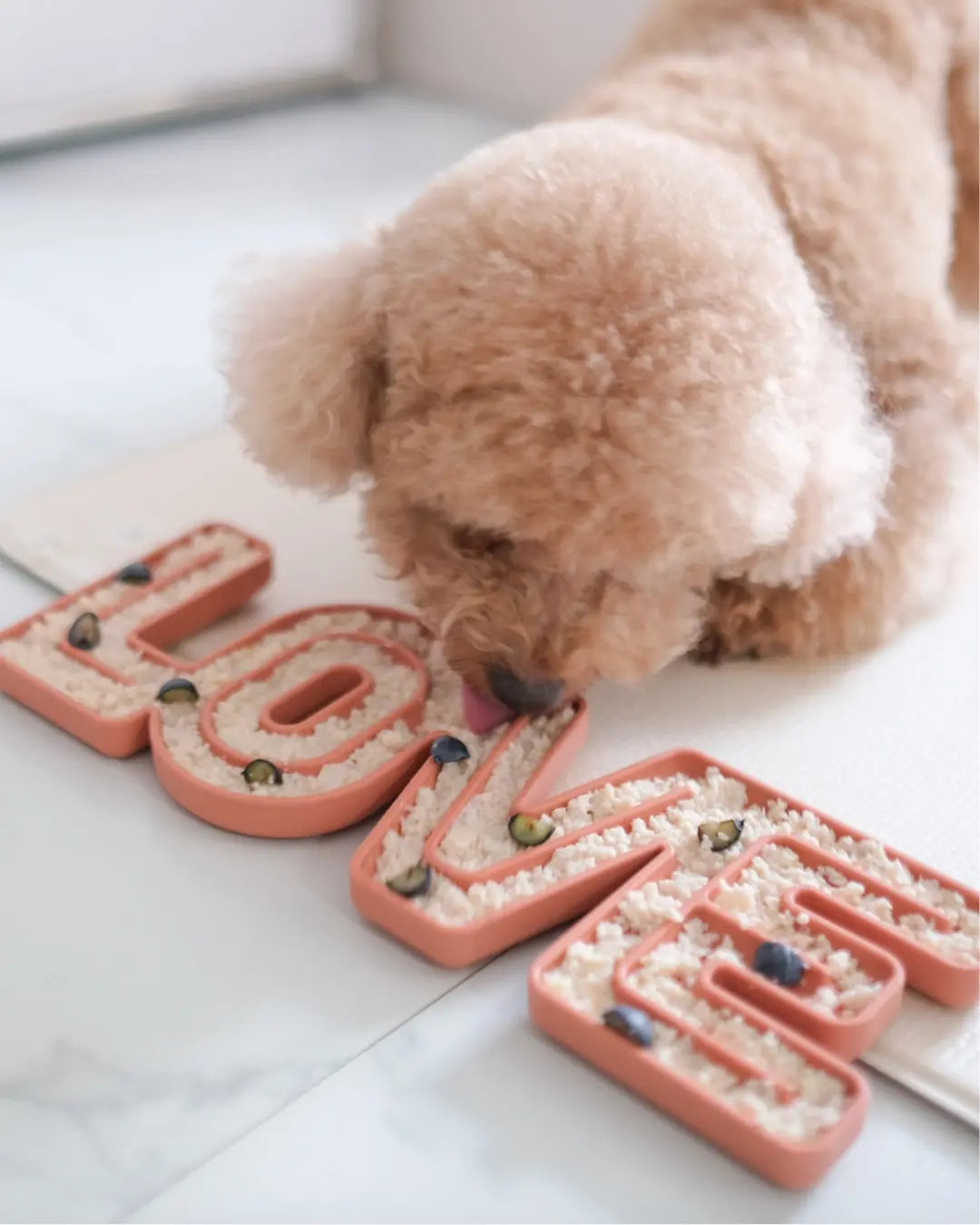 Poodle dog licking a dog enrichment mat shaped in the word 'LOVE' on a light surface