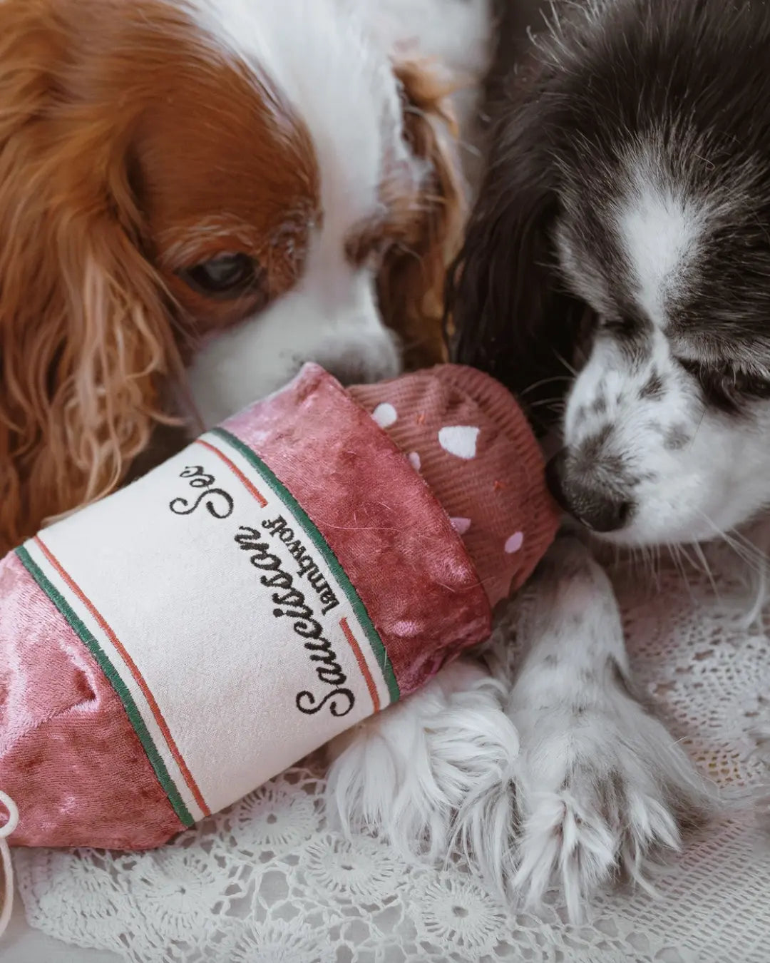 Two cavalier king Charles spaniels playing with a plush saucisson sec-shaped dog toy
