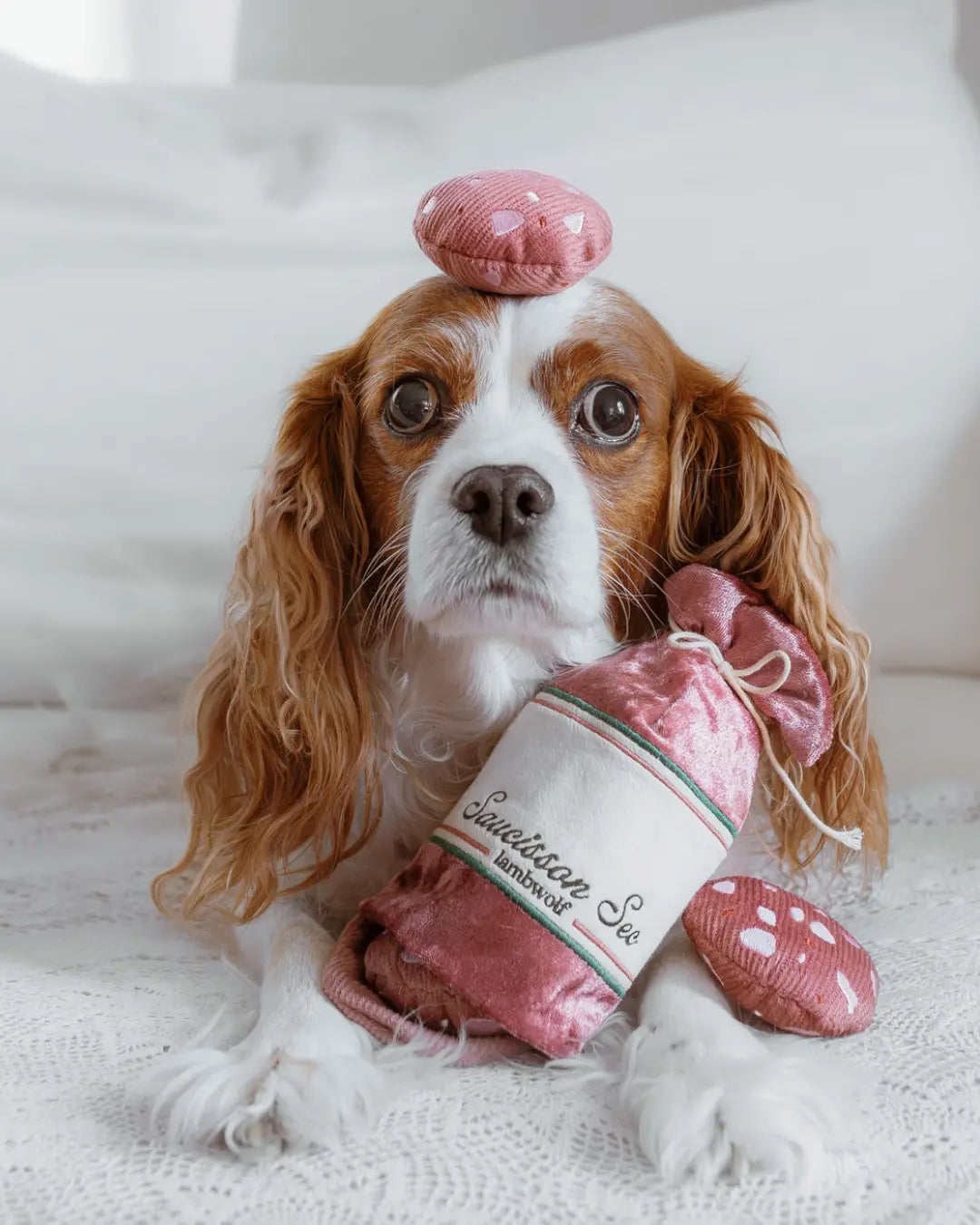 Cavalier king Charles spaniel with a plush salami-shaped dog toy on its head with a white background