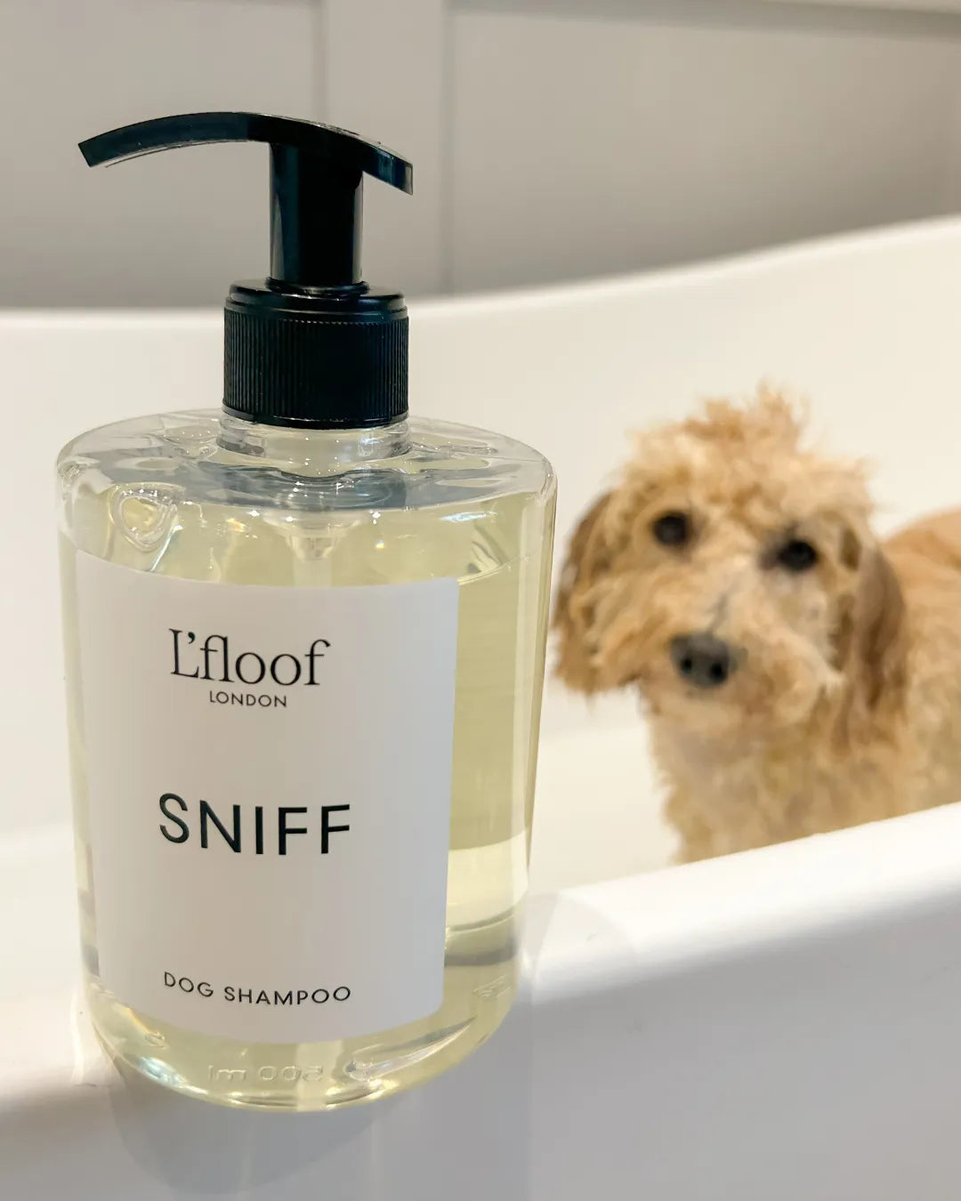 L'floof London dog shampoo bottle with a dog in the background