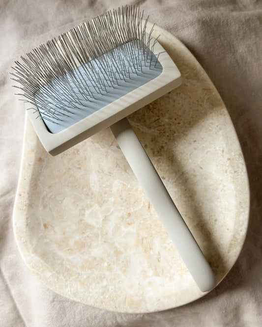 Pet grooming brush with a beige handle on a beige plate