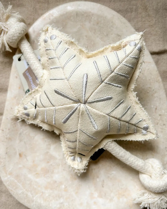 Star-shaped fabric dog toy with rope on a stone surface
