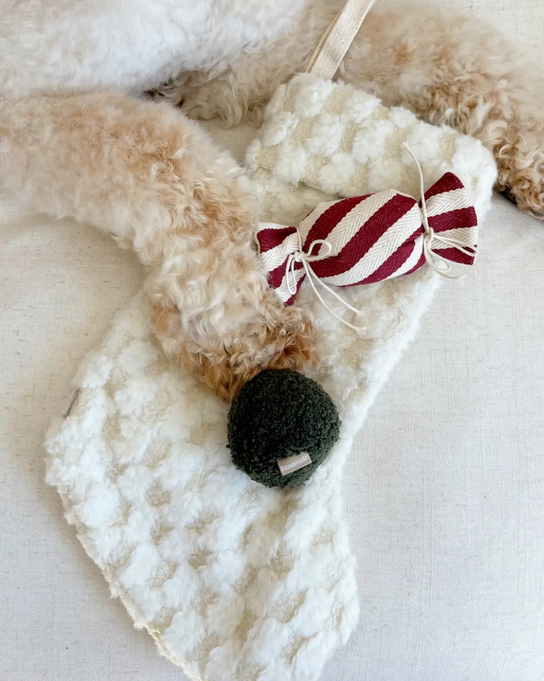 Christmas stocking-shaped dog toy with a sweet-shaped dog toy and dark green squeaky ball on a white surface